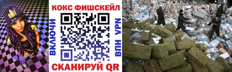 где можно купить   Зеленодольск  Кокаин Fish Scale 