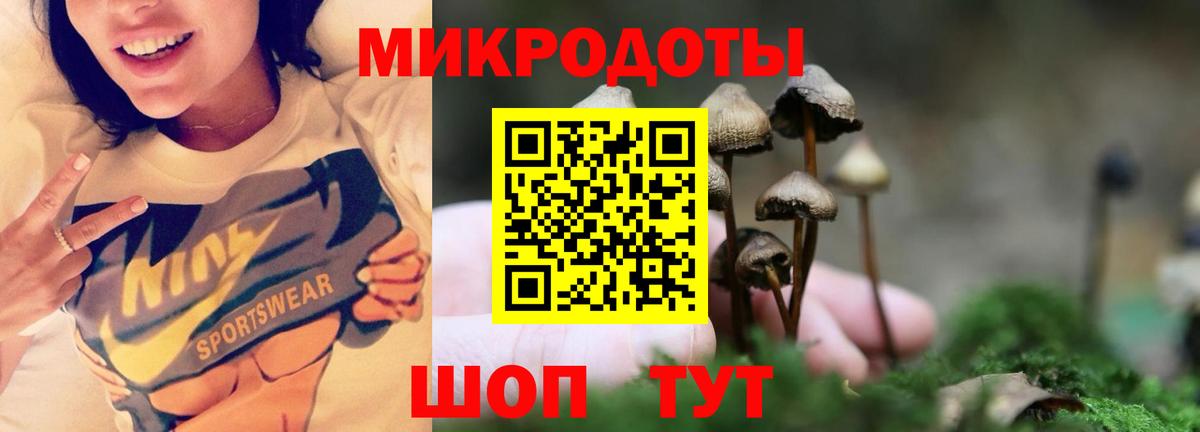 Галлюциногенные грибы GOLDEN TEACHER  Вход с VPN  Зеленодольск 