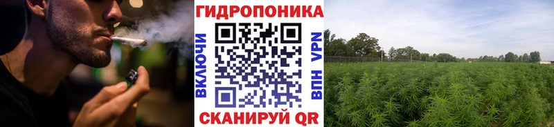 shop официальный сайт  KRAKEN ССЫЛКА  Зеленодольск  Шишки марихуана конопля 